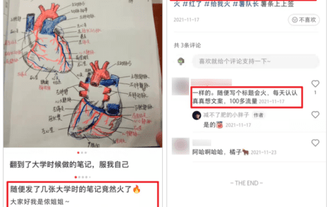 小红书「爆款笔记」背后的流量密码