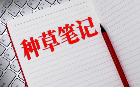 陈杨园：种草，撑不起小红书的电商梦｜豹变