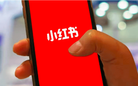 小红书企业号变专业号，有哪些调整？