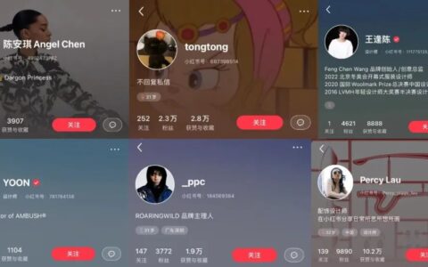 Drizzie：小红书是最适合设计师品牌靠岸的平台吗？