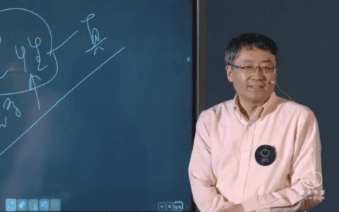真格基金联合创始人王强：无用之学才最有用｜混沌学园