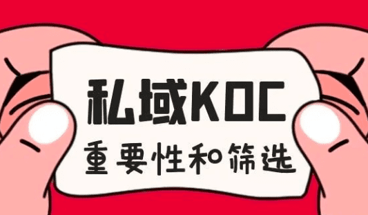 私域中KOC的重要性和筛选策略｜一直前行的彪羊羊