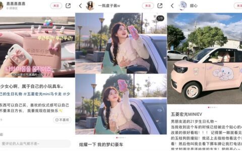 从五菱汽车看低频高客单价产品如何利用小红书投放提高GMV｜啵啵开小灶