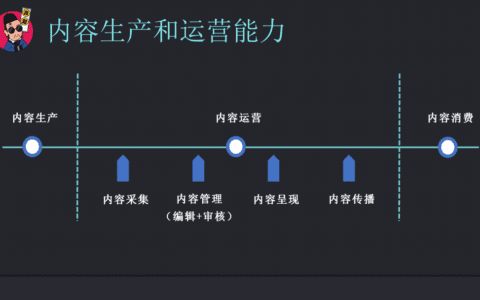 运营策略的制定和执行能力