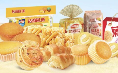 达利食品：成于"山寨"，困于"山寨"