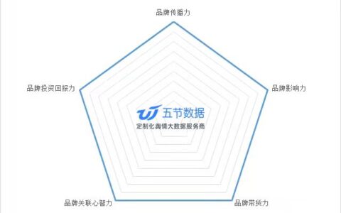 五节洞察理论：小红书投放效果如何评估？