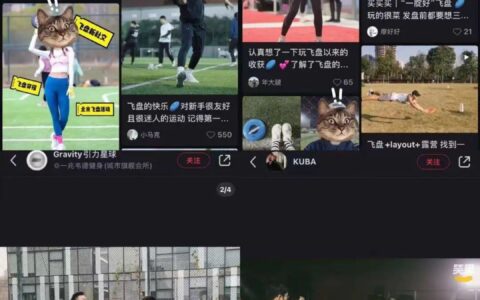 爆火的飞盘：让年轻人上瘾，但赚不到钱｜深燃