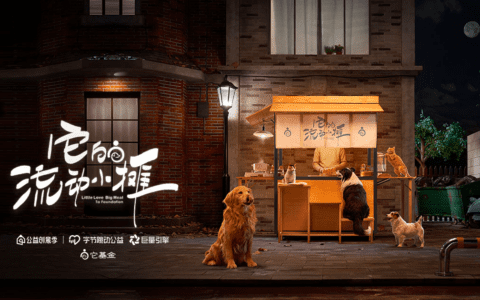 吕玥：互联网公益再革新，你能做的还有更多｜深响