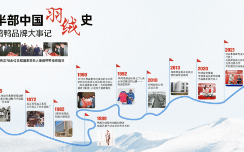 一年卖出80亿，「鸭鸭」如何走好国民品牌复兴之路｜窄播