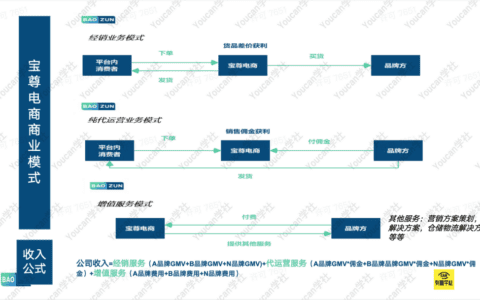 5分钟快速看懂电商代运营第一龙头公司：宝尊电商