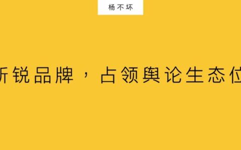 杨不坏：新锐品牌，占领舆论生态位
