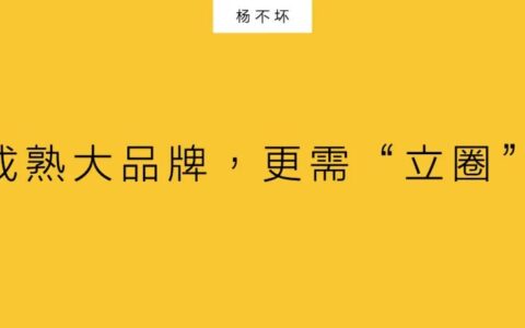 杨不坏:成熟大品牌,更需“立圈”