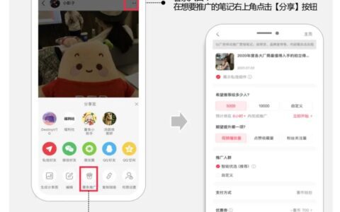 小红书「薯条」升级，为商业推广提供灵活高效的新选项｜小红书商业动态