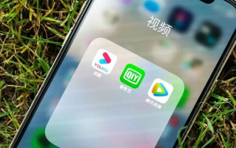 长视频会员管理：从「伊甸园」到「农耕时代」｜豹变