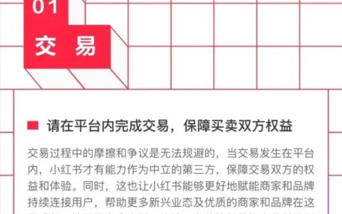 杨蕾：《商业公约》背后，小红书的商业闭环野心｜AI蓝媒汇