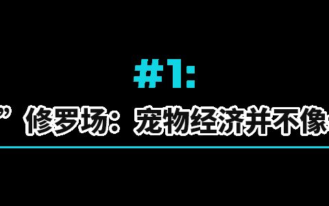 “520”猫狗热：比起爱情，更想给宠物花钱