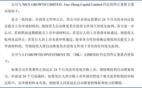 李子璇：风投女王徐新，给豪赌上保险 | VCPE 参考