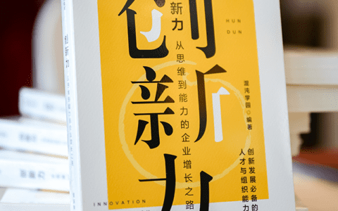 创新力：从思维到能力的企业增长之路