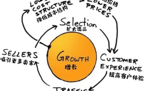 刘杰：我的增长飞轮