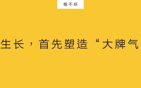 杨不坏:品牌生长,首先塑造“大牌气质”