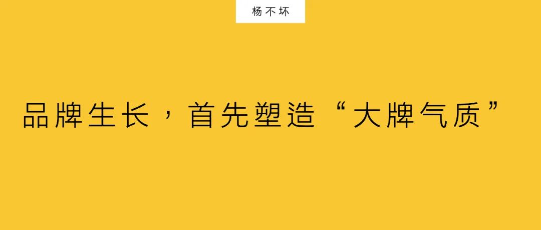 杨不坏：品牌生长，首先塑造“大牌气质”