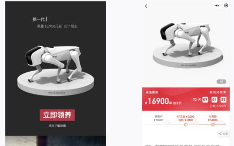 郑晶敏：从私域到全域，品牌长效增长的关键模型｜刀法研究所