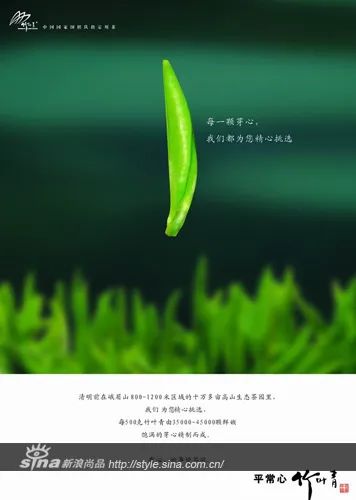 品牌与品类的能级跃迁｜空手
