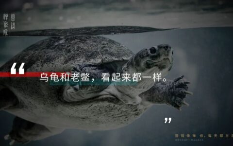 高质量企业是怎么搞传播的？