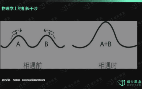 “疯狗浪”时代来临，品牌如何结构性增长｜增长黑盒