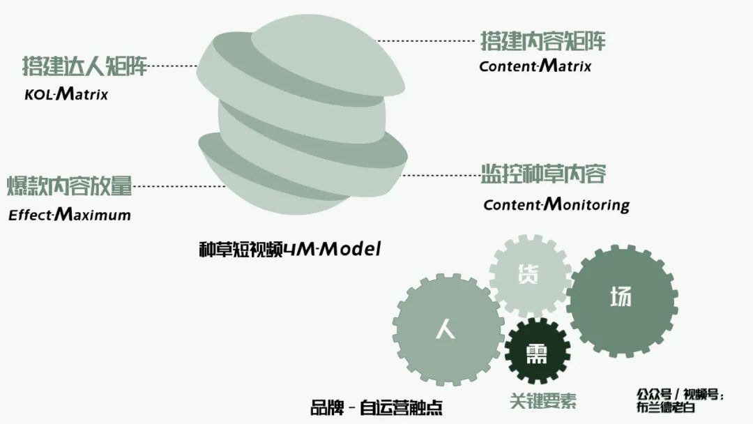 万字梳理品牌抖音电商增长攻略｜布兰德老白