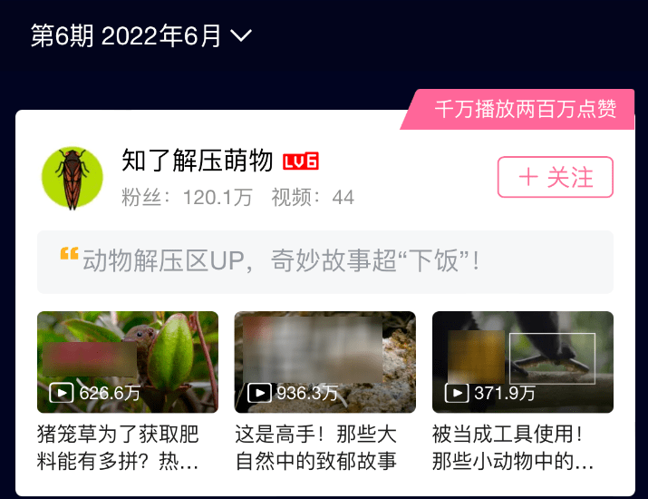 千粉也能增长近2000w播放？这些B站宝藏UP主值得被发现！