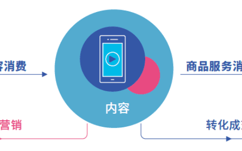 想让内容驱动生意增长，要做哪些事｜单仁行