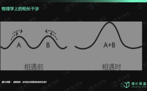 “疯狗浪”时代来临，品牌如何结构性增长｜增长黑盒