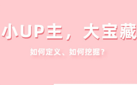 千粉也能增长近2000w播放？这些B站宝藏UP主值得被发现！