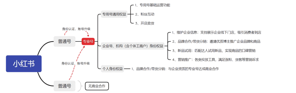 小红书企业号如何运营？这套内容运营模板分享给你