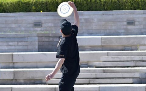 飞盘俱乐部调查：距离黄金时代，只差临门一脚 