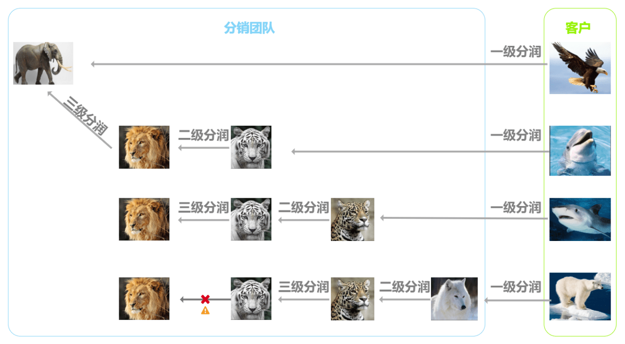 什么是分销的底层逻辑