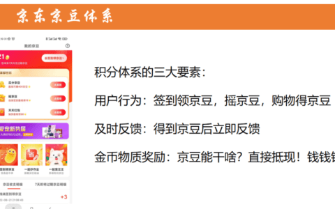 从搭建到运营，做赚钱的积分体系