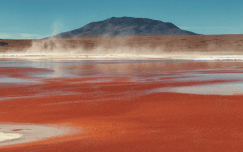 瓦卢瑞克深耕能源转型，助力企业走向低碳未来