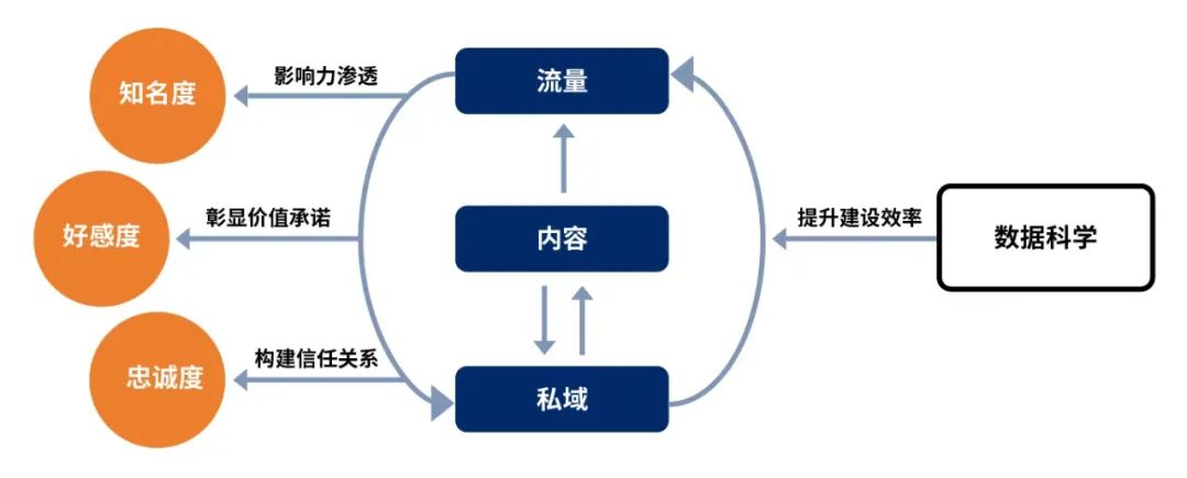 加速品牌飞轮，穿越低增长时代