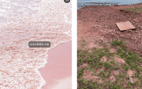 企业战略：波特五力模型