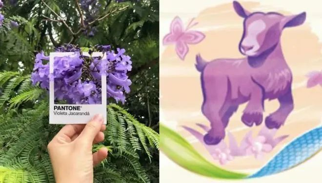 美素佳儿羊奶粉——绝绝紫真保护，羊气宝贝走花路！