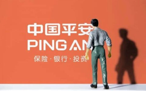 捆绑保险的同时，平安汽车金融还站着把利息收了？