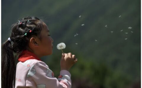 一本好书，如何让山区孩子读到、读透？