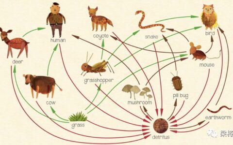 少谈点产品创新，多谈点产品策略｜梁将军