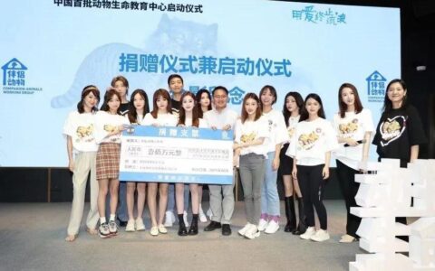 对话小红书MCN仙梓文化：如何留住博主、取舍内容、拓展业务？