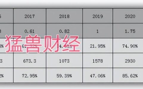 因为用户增长放缓，Shopify的前景面临挑战