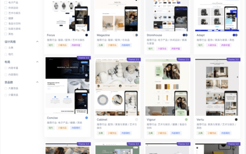独立站建站哪家强？FunPinPin的SaaS建站系统了解一下
