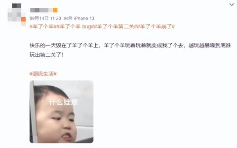 「羊了个羊」爆火，背后是个流量骗局