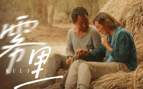 从《隐入尘烟》得到的启示：刷屏有方法可循